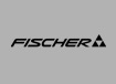 Fischer