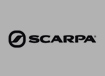 Scarpa